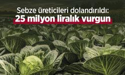 Sebze üreticileri dolandırıldı: 25 milyon liralık vurgun