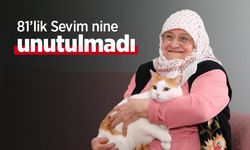 81’lik Sevim nine unutulmadı
