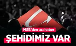 ŞEHİDİMİZ VAR