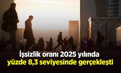 İşsizlik oranı 2025 yılında yüzde 8,3 seviyesinde gerçekleşti