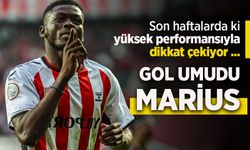 GOL UMUDU MARİUS