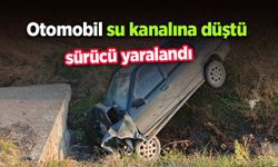 Otomobil su kanalına düştü, sürücü yaralandı