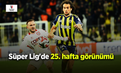 Süper Lig'de 25. hafta görünümü
