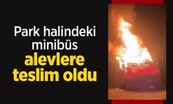 Park halindeki minibüs alevlere teslim oldu