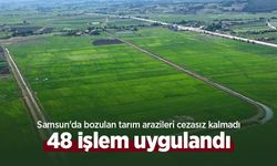 Samsun'da bozulan tarım arazileri cezasız kalmadı: 48 işlem uygulandı