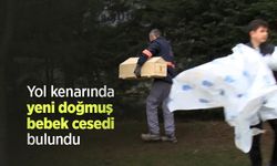 Yol kenarında yeni doğmuş bebek cesedi bulundu