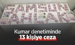 Kumar denetiminde 13 kişiye ceza