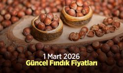 1 Mart 2026 Güncel Fındık Fiyatları
