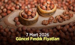 7 Mart 2026 Güncel Fındık Fiyatları