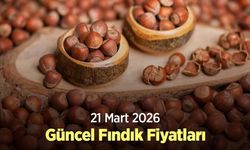 21 Mart 2026 Güncel Fındık Fiyatları