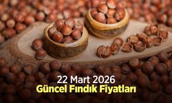 22 Mart 2026 Güncel Fındık Fiyatları