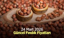 24 Mart 2026 Güncel Fındık Fiyatları