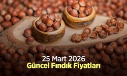 25 Mart 2026 Güncel Fındık Fiyatları
