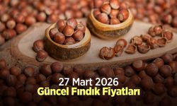 27 Mart 2026 Güncel Fındık Fiyatları