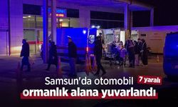 Samsun'da otomobil ormanlık alana yuvarlandı: 7 yaralı