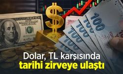 Dolar, TL karşısında tarihi zirveye ulaştı