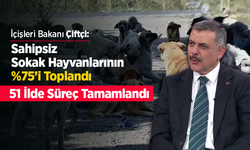 Sahipsiz Sokak Hayvanlarının %75’i Toplandı: 51 İlde Süreç Tamamlandı