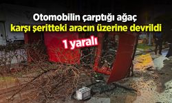 Otomobilin çarptığı ağaç karşı şeritteki aracın üzerine devrildi: 1 yaralı