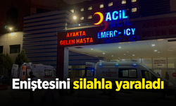 Eniştesini silahla yaraladı