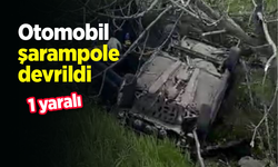 Otomobil şarampole devrildi: 1 yaralı