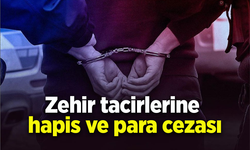 Zehir tacirlerine hapis ve para cezası