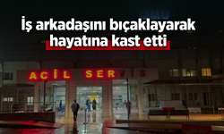 İş arkadaşını bıçaklayarak hayatına kast etti