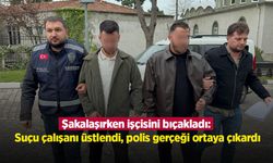 Şakalaşırken işçisini bıçakladı: Suçu çalışanı üstlendi, polis gerçeği ortaya çıkardı