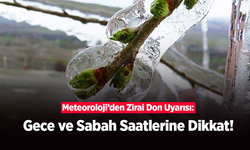 Meteoroloji’den Zirai Don Uyarısı: Gece saatlerine dikkat!