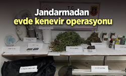 Jandarmadan evde kenevir operasyonu
