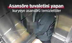 Asansöre tuvaletini yapan kuryeye asansörü temizlettiler