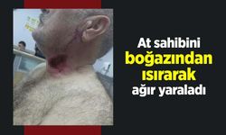 At sahibini boğazından ısırarak ağır yaraladı