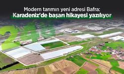 Modern tarımın yeni adresi Bafra: Karadeniz'de başarı hikayesi yazılıyor