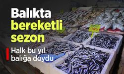 Balıkta bereketli sezon: "Halk bu yıl balığa doydu"