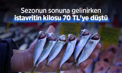 Sezonun sonuna gelinirken istavritin kilosu 70 TL'ye düştü