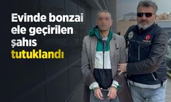 Evinde bonzai ele geçirilen şahıs tutuklandı