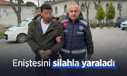 Eniştesini silahla yaraladı