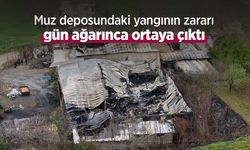 Muz deposundaki yangının zararı gün ağarınca ortaya çıktı