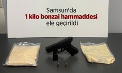 Samsun'da 1 kilo bonzai hammaddesi ele geçirildi