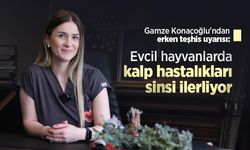 Gamze Konaçoğlu'ndan erken teşhis uyarısı: Evcil hayvanlarda kalp hastalıkları sinsi ilerliyor