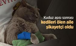 Kuduz aşısı sonrası kedileri ölen aile şikayetçi oldu
