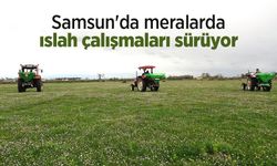 Samsun'da meralarda ıslah çalışmaları sürüyor