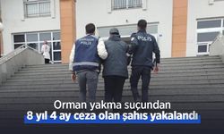 Orman yakma suçundan 8 yıl 4 ay ceza olan şahıs yakalandı