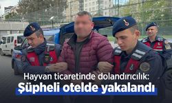 Hayvan ticaretinde dolandırıcılık: Şüpheli otelde yakalandı