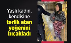 Yaşlı kadın, kendisine terlik atan yeğenini bıçakladı