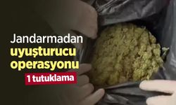 Jandarmadan uyuşturucu operasyonu: 1 tutuklama