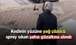 Kedinin yüzüne sprey sıkan market çalışanı gözaltına alındı
