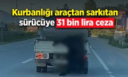 Kurbanlığı araçtan sarkıtan sürücüye 31 bin lira ceza