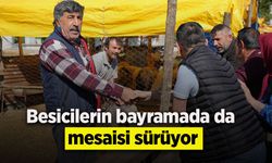 Besicilerin kurbanda da mesaisi sürüyor