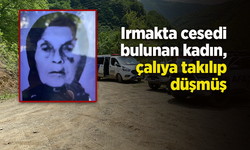 Irmakta cesedi bulunan kadın, çalıya takılıp düşmüş