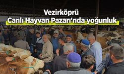 Vezirköprü Canlı Hayvan Pazarı'nda yoğunluk